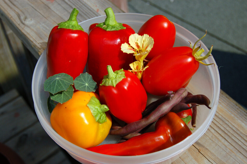  Stuffed Peppers Recipe